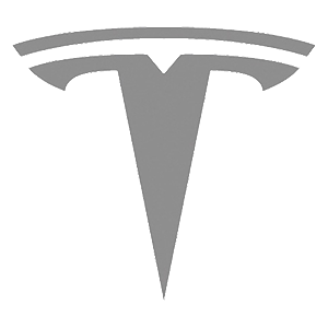 �������� �Tesla logo�