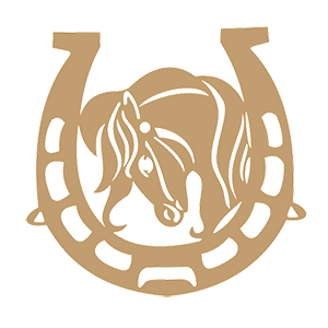 ����������� �� ����������� ������-���������� �������� ����� � ������� - ������ �� 84 ���.