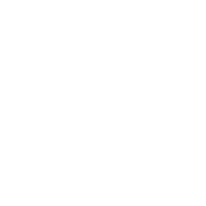    -   133 .