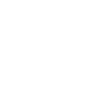 ����������� �� ����������� ����� �������� �����������-��-����� - ������ �� 133 ���.