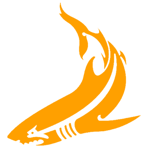   -   133 .