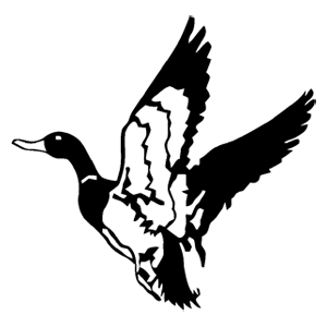    -   133 .
