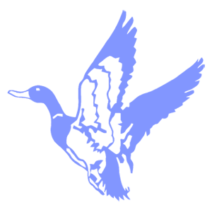    -   133 .
