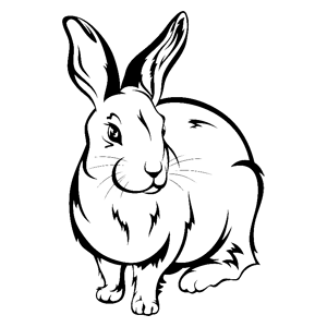       -   106 .