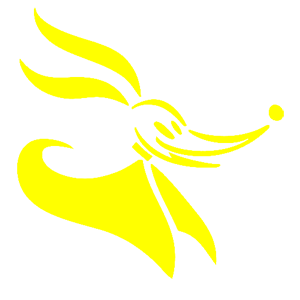        -   65 .
