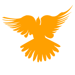       -   72 .