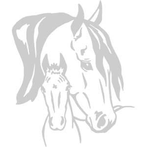    -     -   143 .