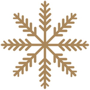 ����������� �� ����������� ������-���������� �������� ��������� - ������ �� 65 ���.