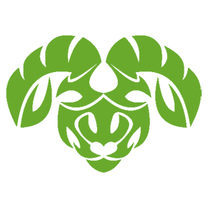 ����������� �� ����������� ������-������� �������� ������ - ������ �� 84 ���.