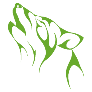 ����������� �� ����������� ������-������� �������� ������� ���� - ������ �� 133 ���.