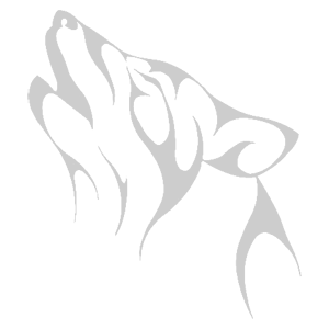 ����������� �� ����������� ���������� �������� ������� ���� - ������ �� 133 ���.