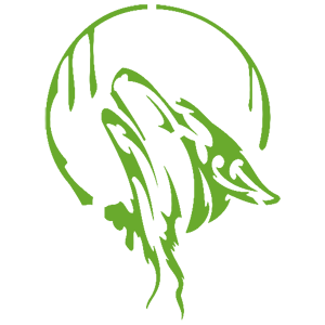 ����������� �� ����������� ������-������� �������� ������� ���� - ������ �� 122 ���.