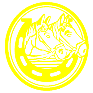         -   161 .
