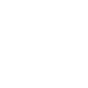         -   161 .