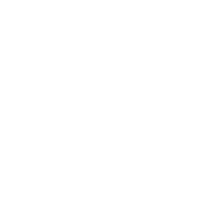 Наклейка «Близнецы»